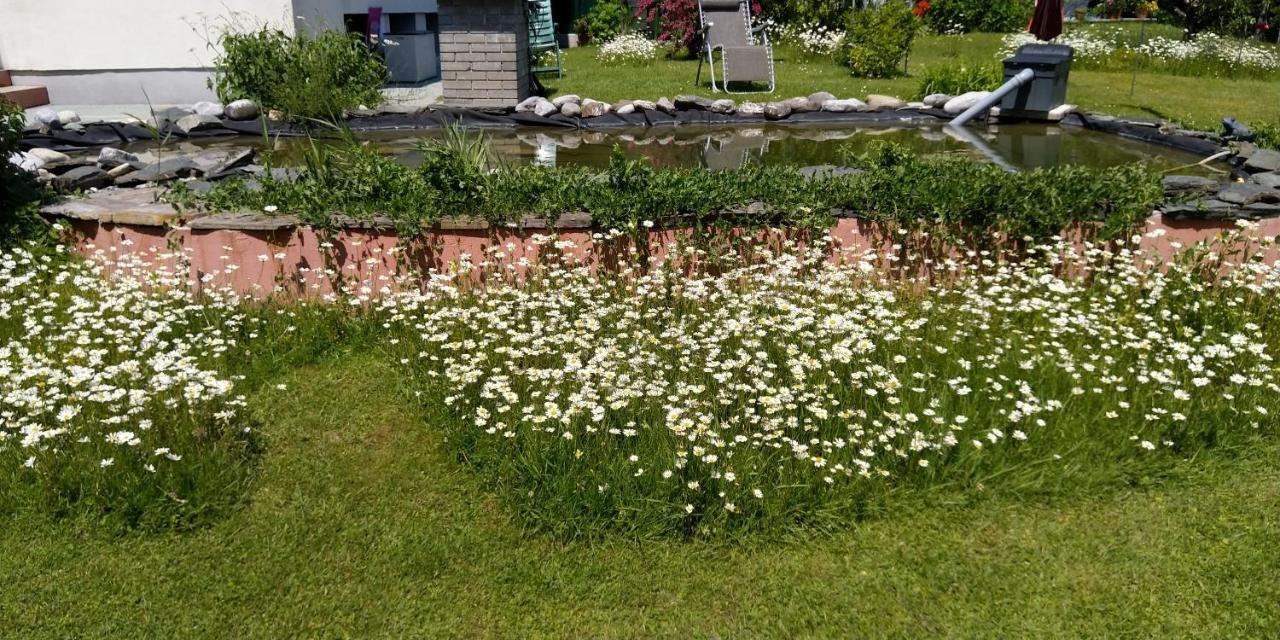Haus Kiko Lejlighed Velden am Wörthersee Eksteriør billede